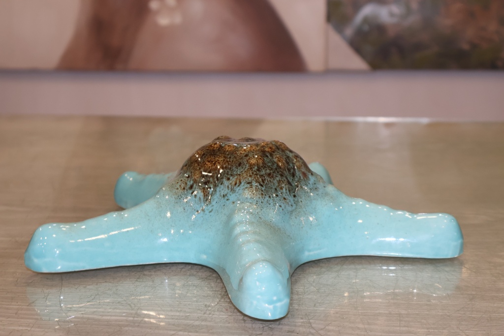 Estrela-do-mar em cerâmica -"Recife Tropical" Azul Turquesa