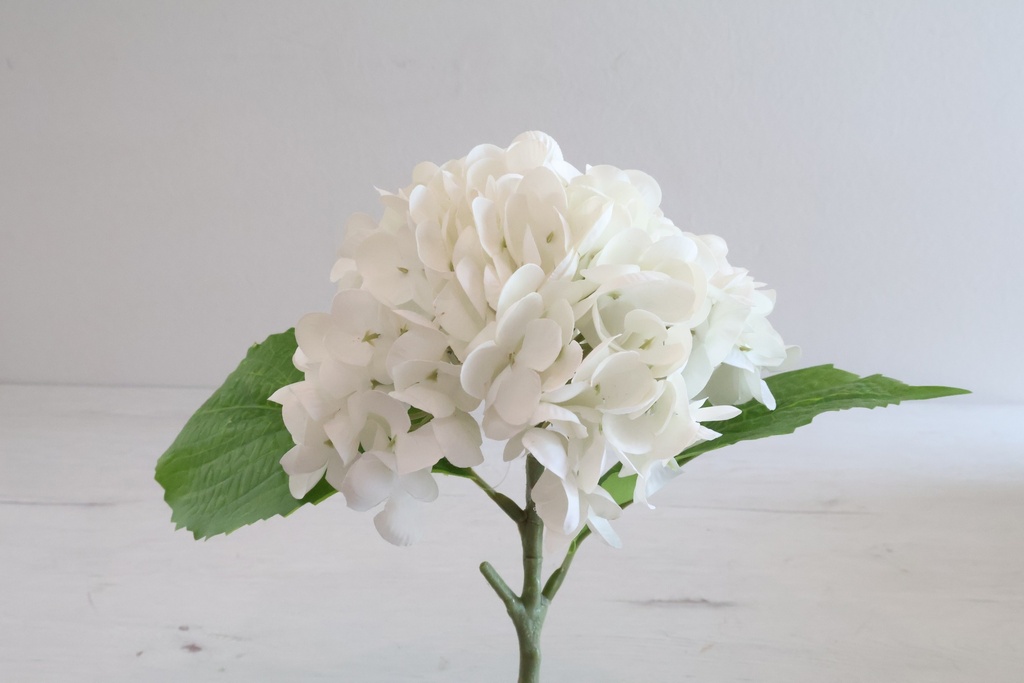 Haste de Hortênsia "Branco Puro"