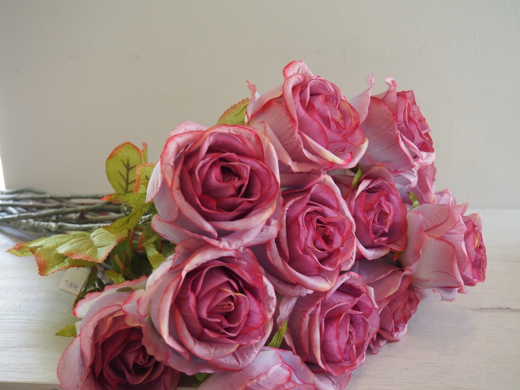 Haste de Rosa "Ametista Imperial"