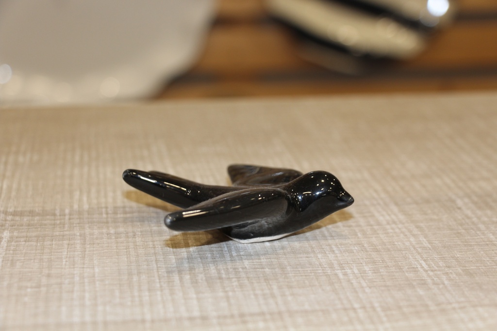 Andorinha Pequena Preta