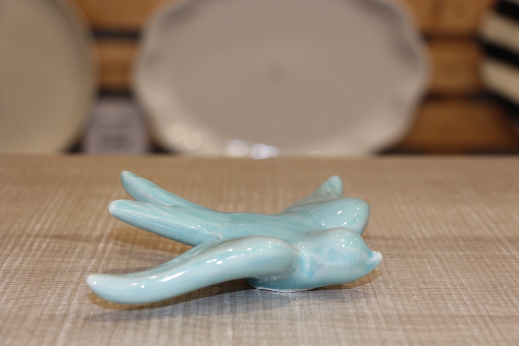 Andorinha Grande Azul Claro