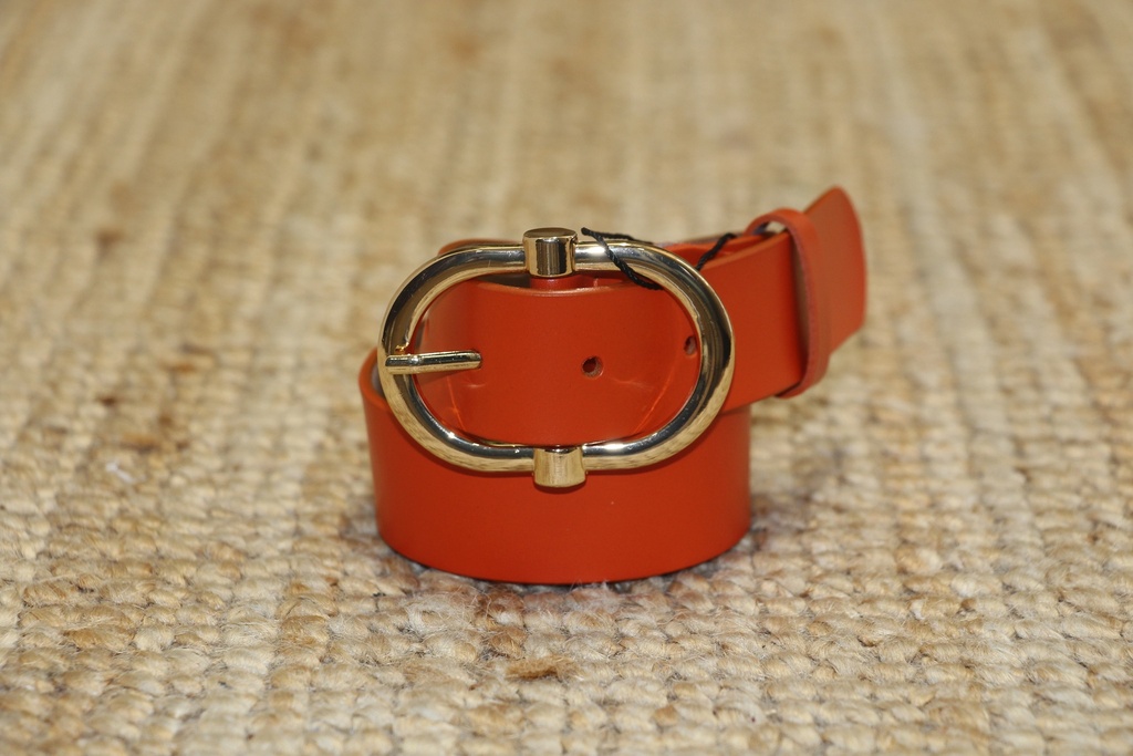Cinto Clássico Laranja com Fivela Oval Dourada